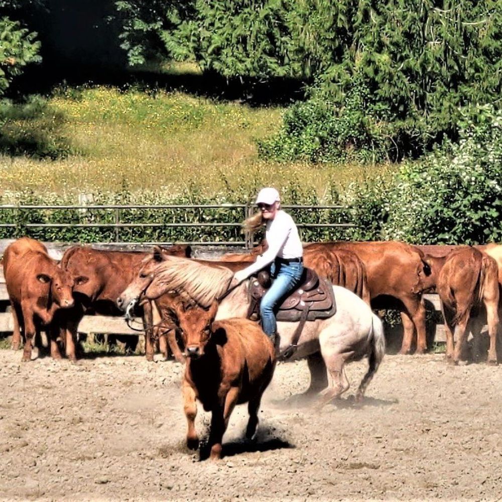 Meet your Posher, Robin